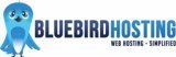 Обзор хостинга BluebirdHosting.ca