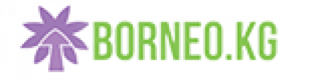Логотип хостинга Borneo.kg