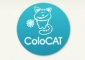 Логотип хостинга Colocat.ru
