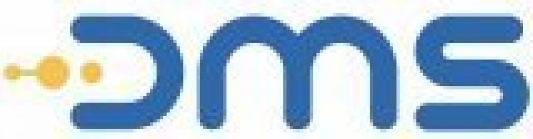 Логотип хостинга DMSInfosystem.com