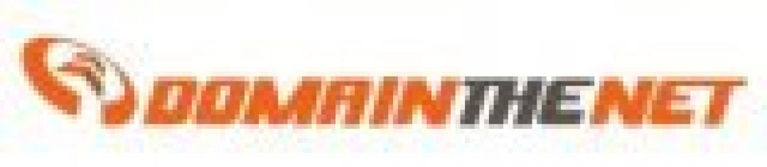 Логотип хостинга DomainTheNet.com