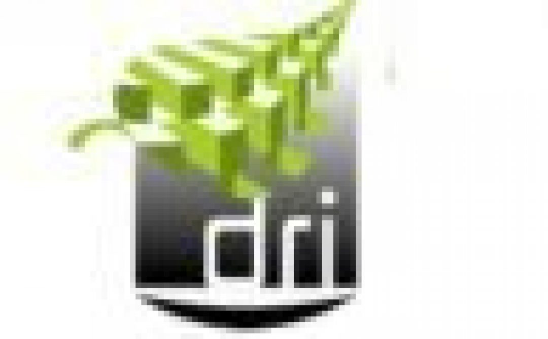 Логотип хостинга DRI.fr