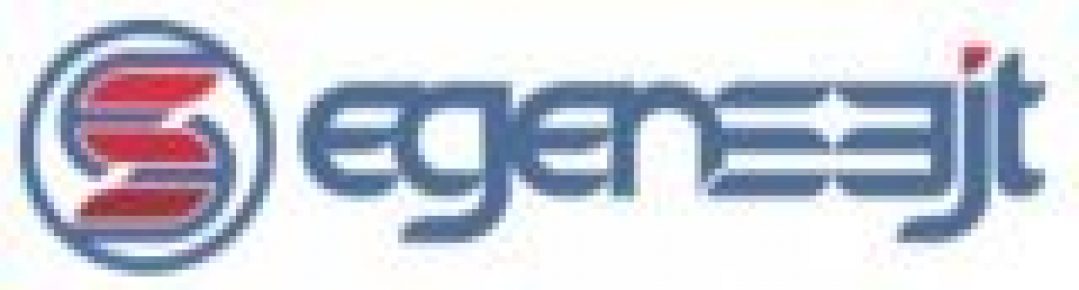 Логотип хостинга EgenSajt.se
