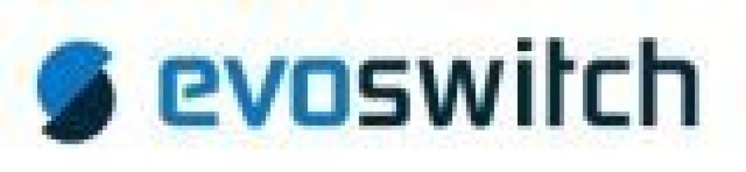 Логотип хостинга EvoSwitch.com