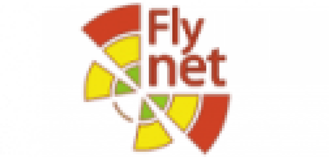 Логотип хостинга Flynet.pro