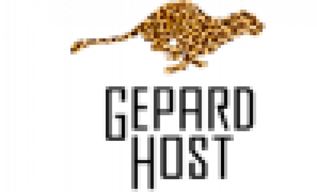 Логотип хостинга Gepardhost.ru