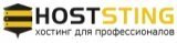 Логотип хостинга HostSting.ru