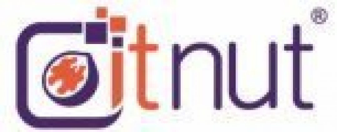 Логотип хостинга ITNutHosting.com