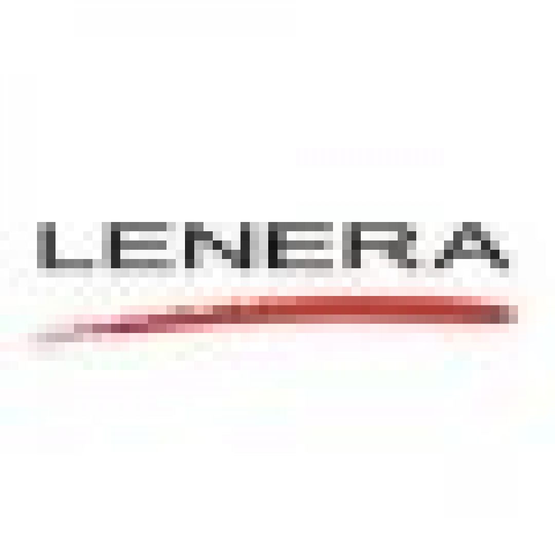 Логотип хостинга Lenera.ru