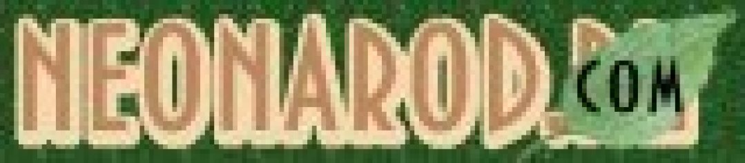 Логотип хостинга Neonarod.com