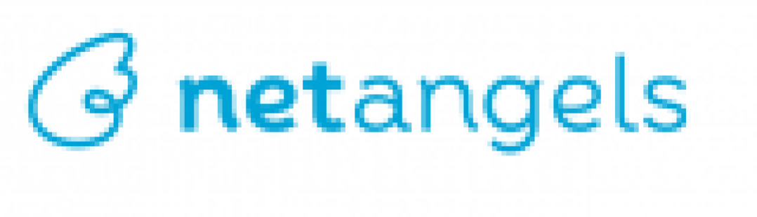 Логотип хостинга Netangels.ru