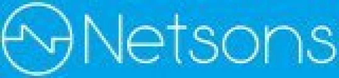 Логотип хостинга Netsons.com