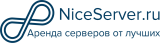 Логотип хостинга NiceServer.ru