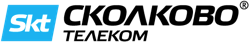 Логотип хостинга Skt.ru
