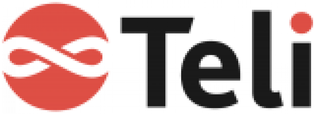 Логотип хостинга Teli.ru
