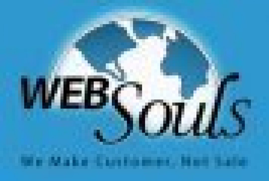Логотип хостинга WebSouls.com