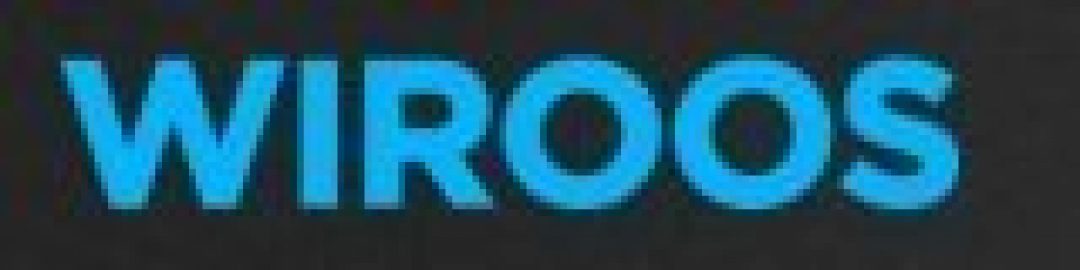 Логотип хостинга Wiroos.com